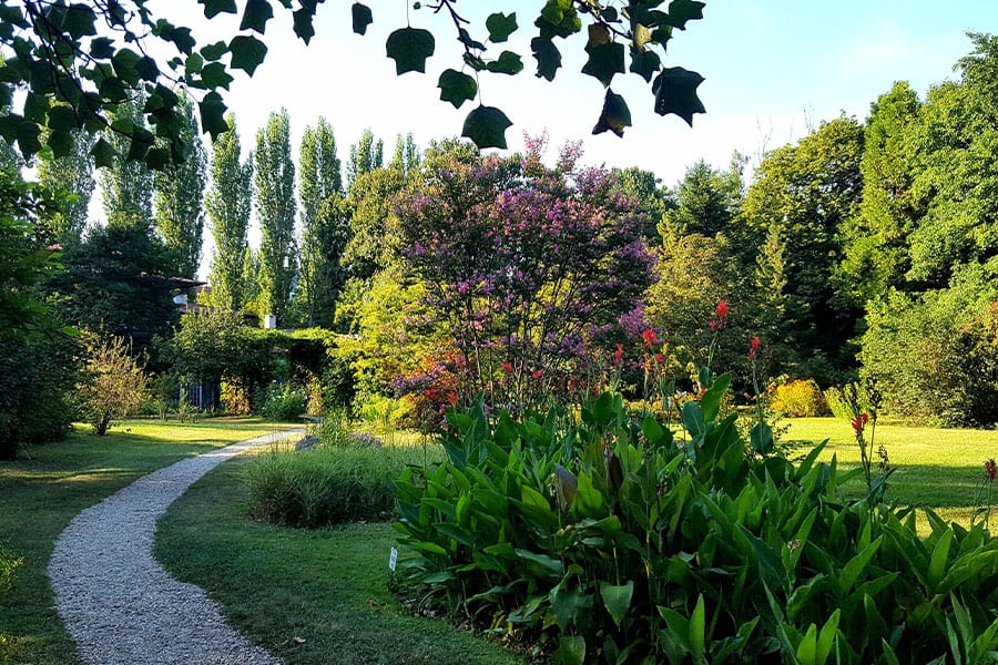 Bucharest Botanical Garden - حديقة بوخارست النباتية