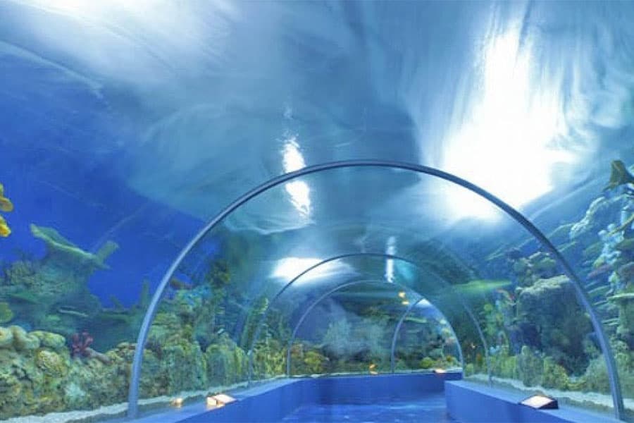 Fakieh Aquarium Jeddah - فقيه أكواريوم جدة