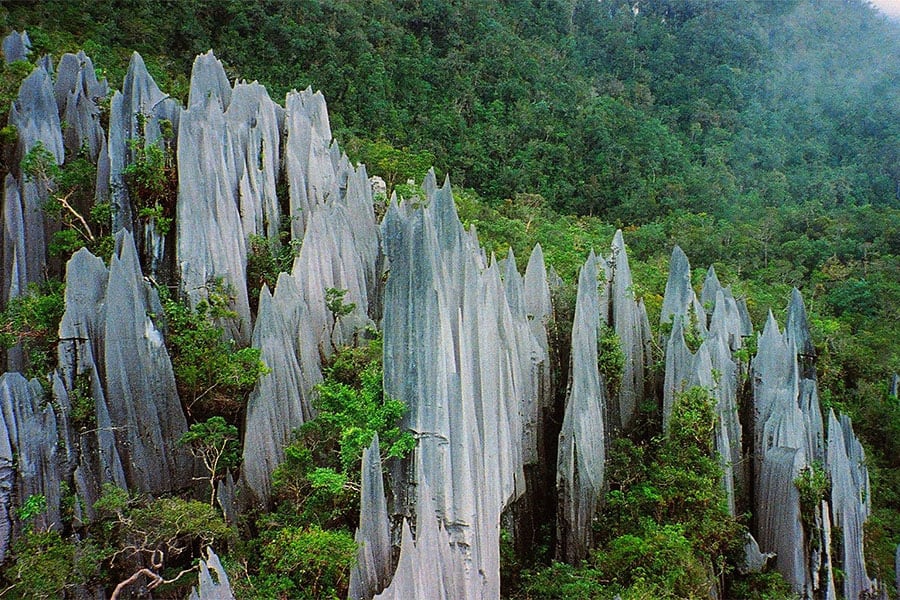 Gunung Mulu National Park - حديقة غونونغ مولو الوطنية