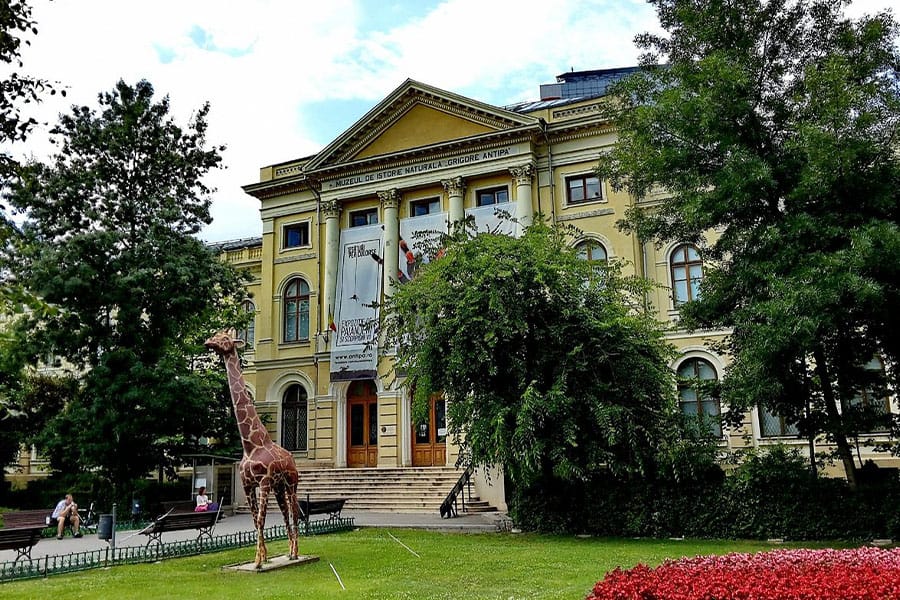 Natural History Museum in Bucharest - متحف التاريخ الطبيعي في بوخارست
